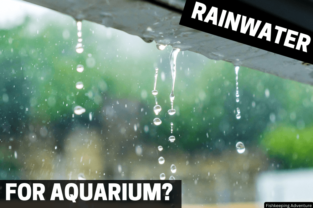 is rainwater good for aquarium