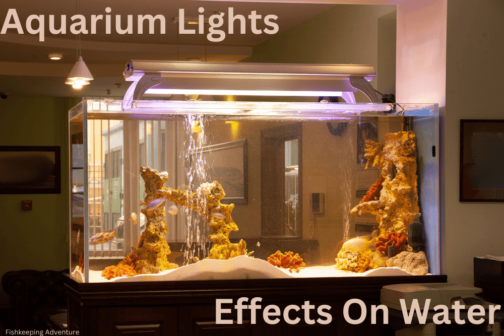 do aquarium lights heat water