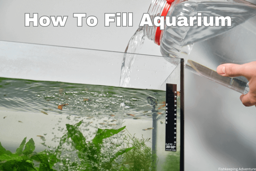 how to fill aquarium without disturbing substrate