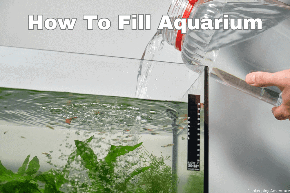 how to fill aquarium without disturbing substrate