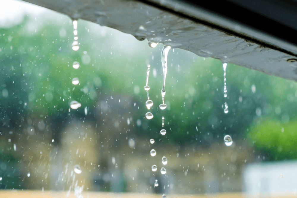 Is rainwater good for aquarium