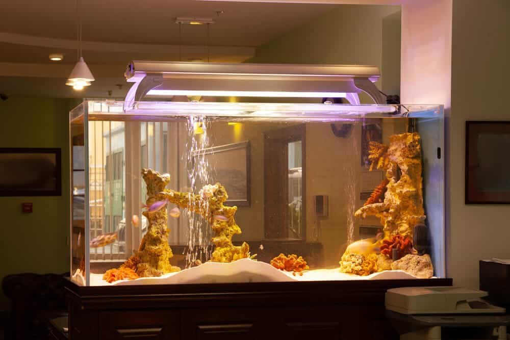 do aquarium lights heat water