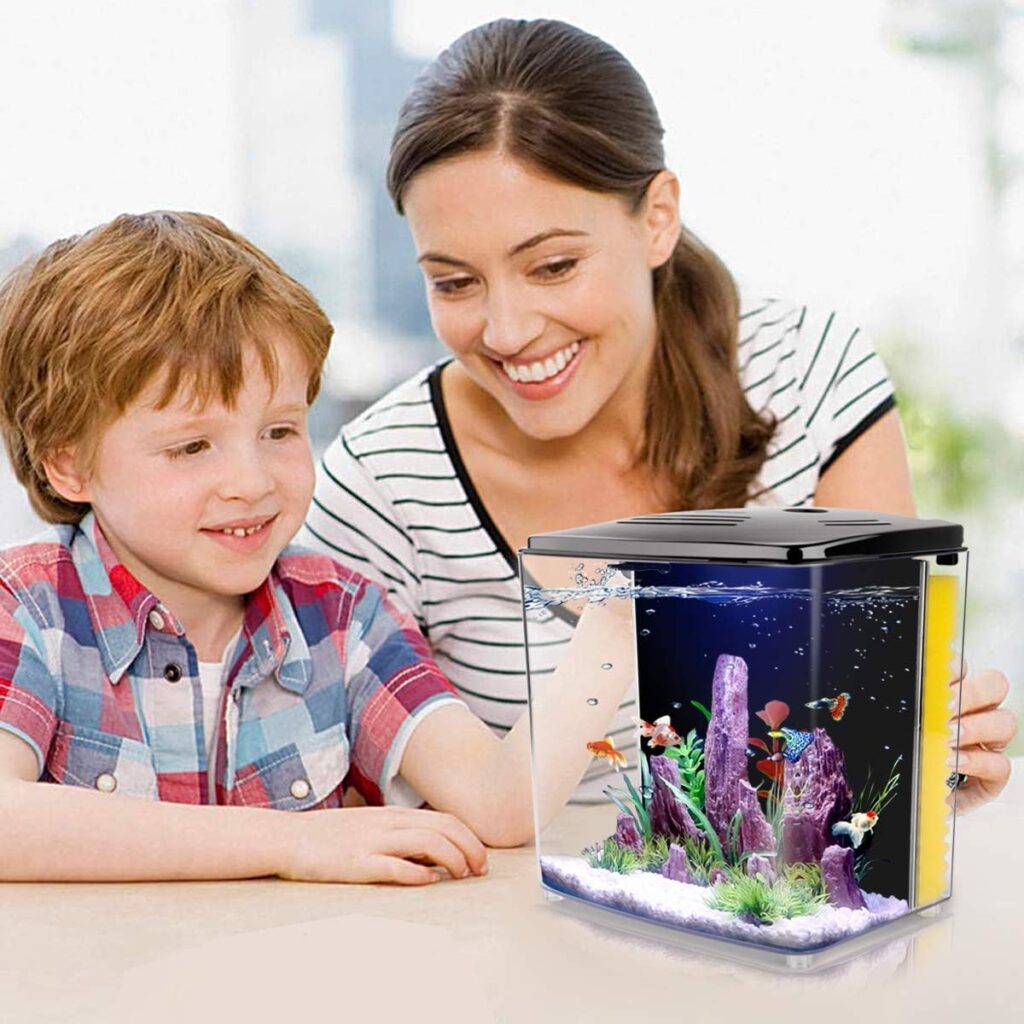 1.2Gallon Betta Aquarium Starter Kits Square Fish Tank with LED Light and Filter Pump