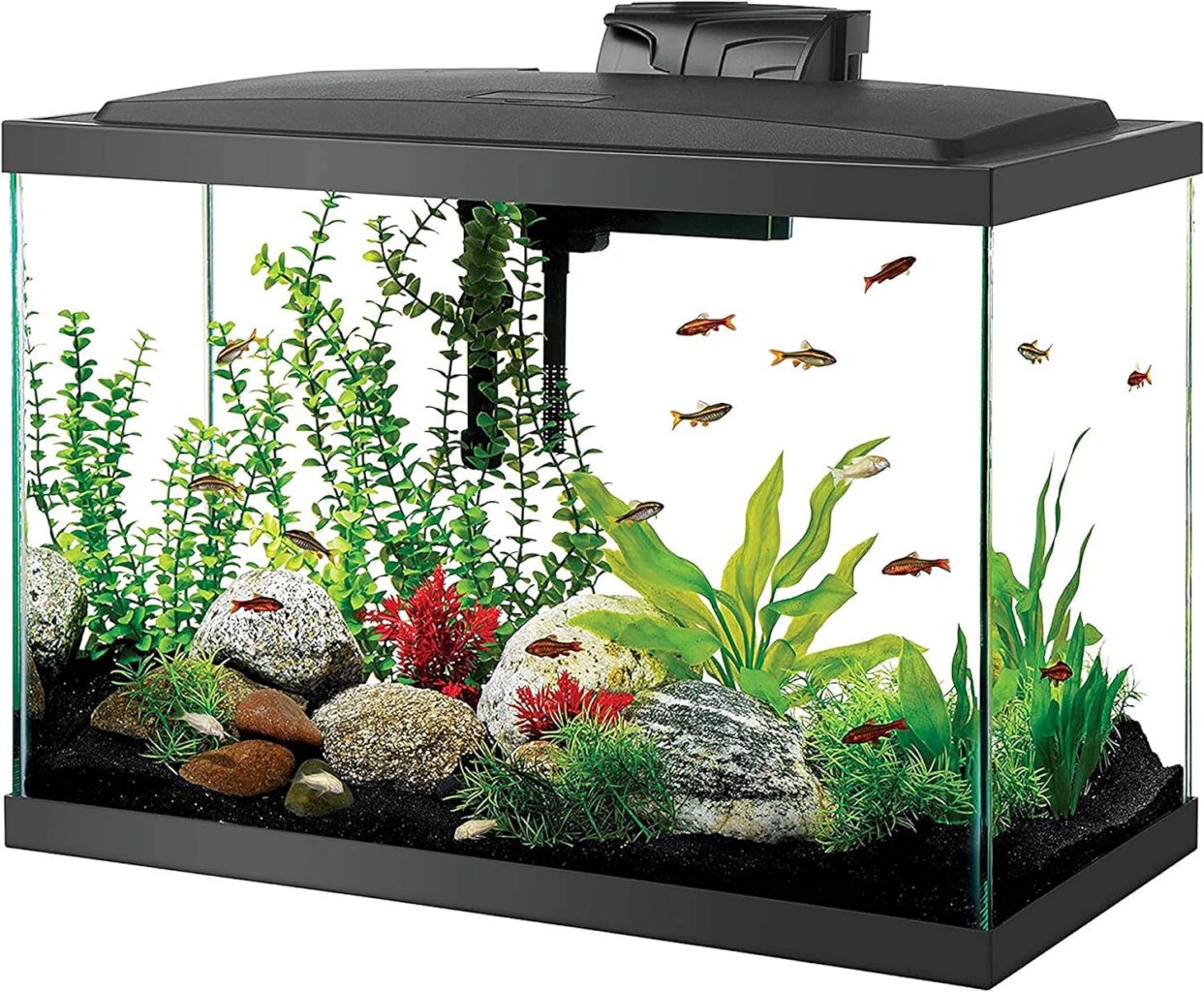 Aqueon Aquarium Fish Tank Starter Kit with LED Lighting 20 Gallon High Fish Tank
