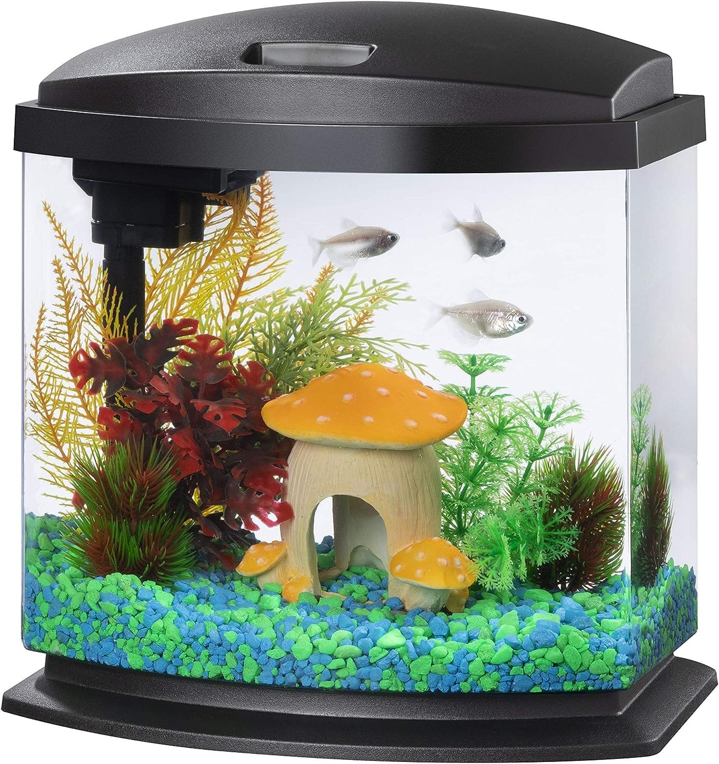 Aqueon LED MiniBow Small Aquarium Fish Tank Kit Review