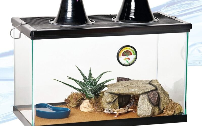 Aqueon Standard Glass 10 Gallon Rectangular Tank for Aquariums