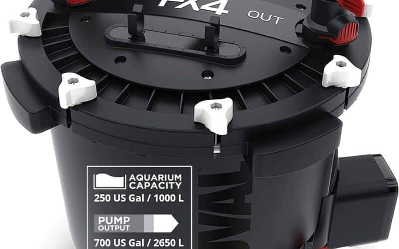 Fluval FX4 Canister Filter InDepth Review