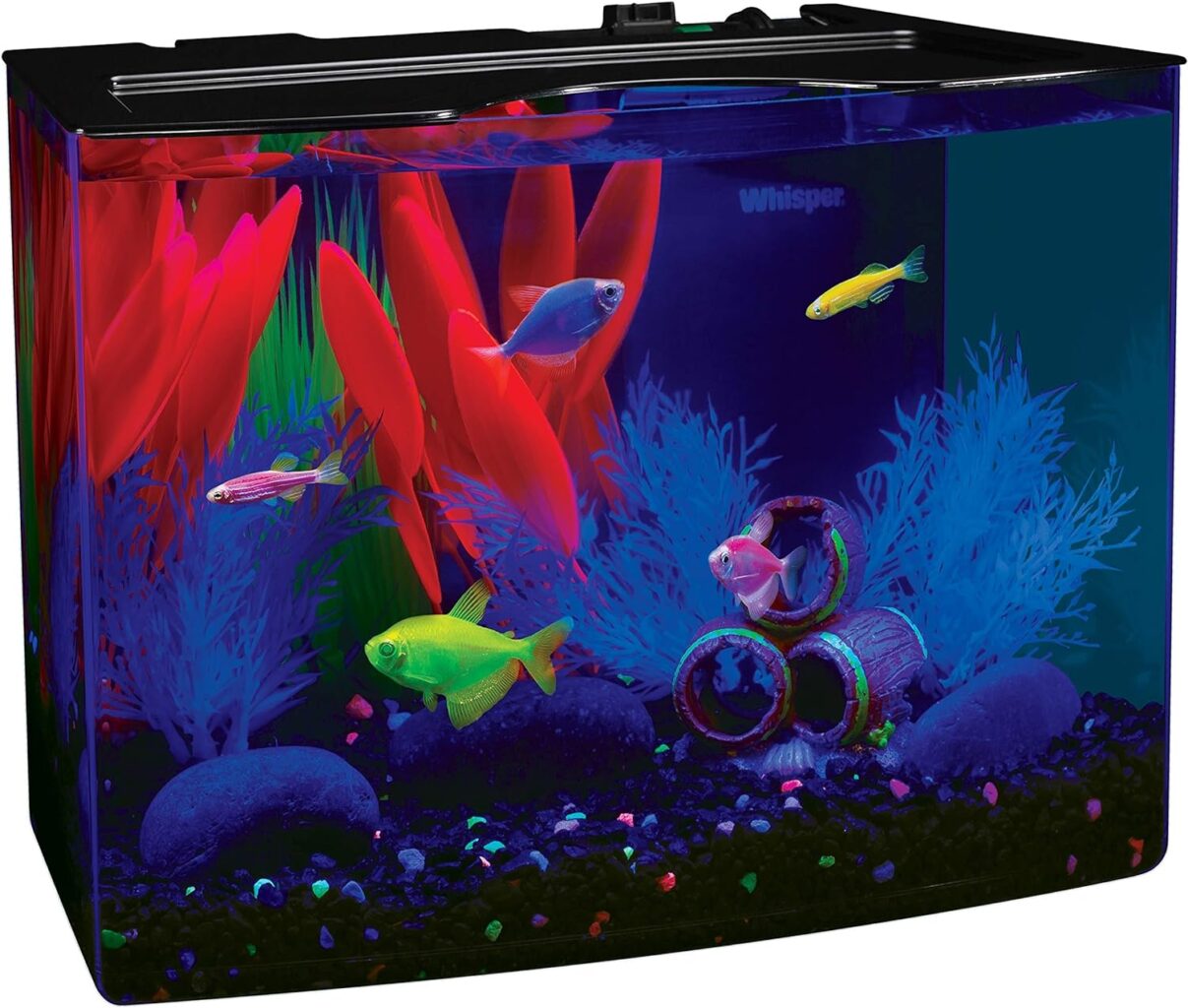 GloFish Aquarium Fish Tank Kits, Includes Fish Tank Decorations and LED Lighting, Tetra Filter and Water Conditioner 5-gallon crescent kit