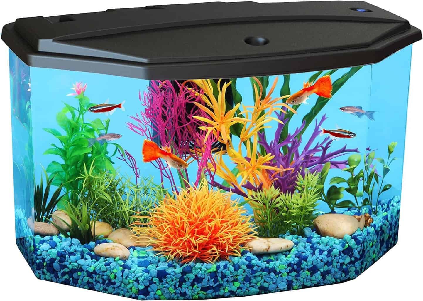 Koller Products Aquarium Starter Kit Review