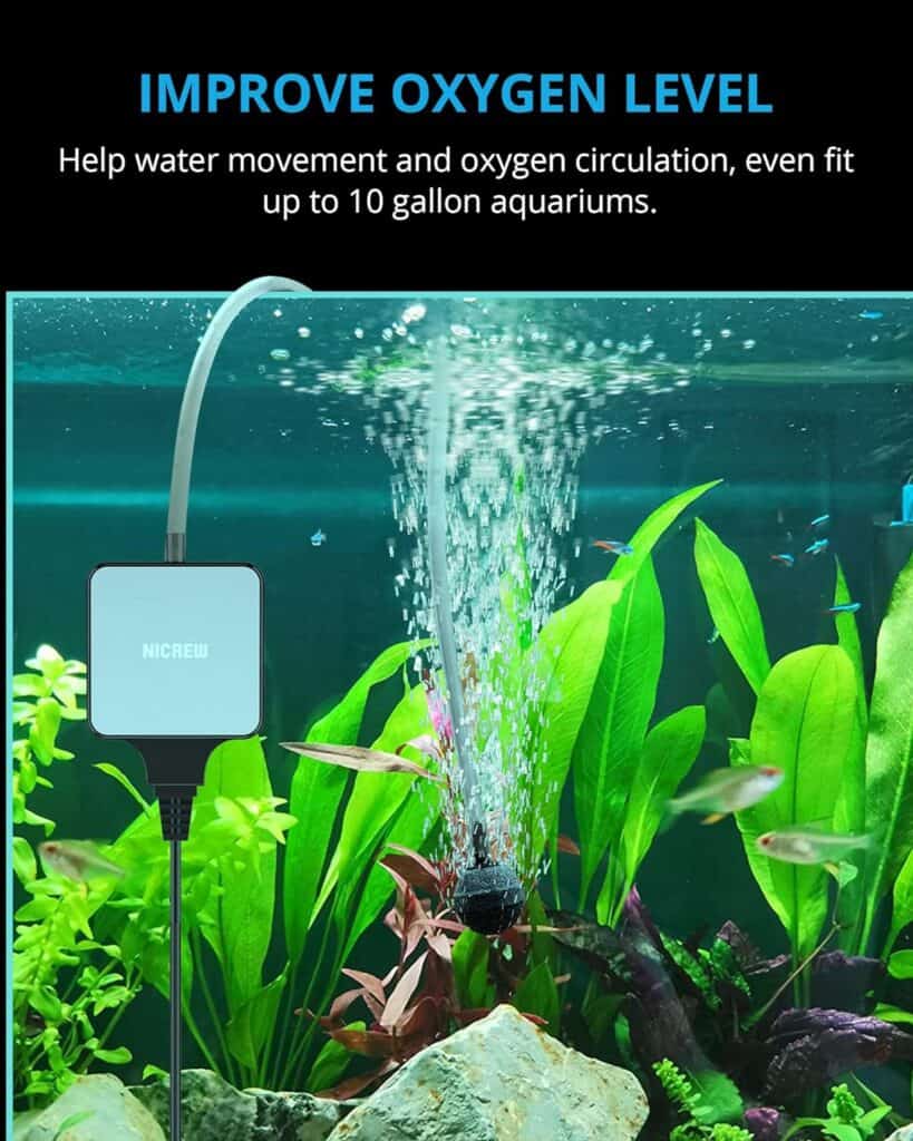 NICREW Nano Silent Aquarium Air Pump, Corded Electric, Aquarium Aerator with Accessories for Up to 10 Gallon Fish Tank, Super Quiet, 0.3 L/min, 1.5 Watts