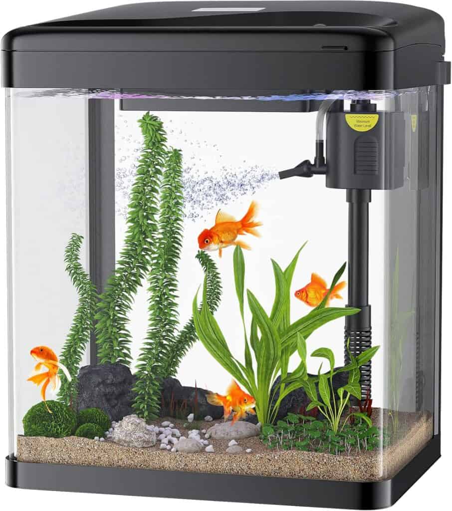 PONDON Betta Fish Tank, 2 Gallon Glass Aquarium, 3 in 1 Fish Tank with Filter and Light, Desktop Small Fish Tank for Betta Fish, Shrimp, Goldfish (Black)