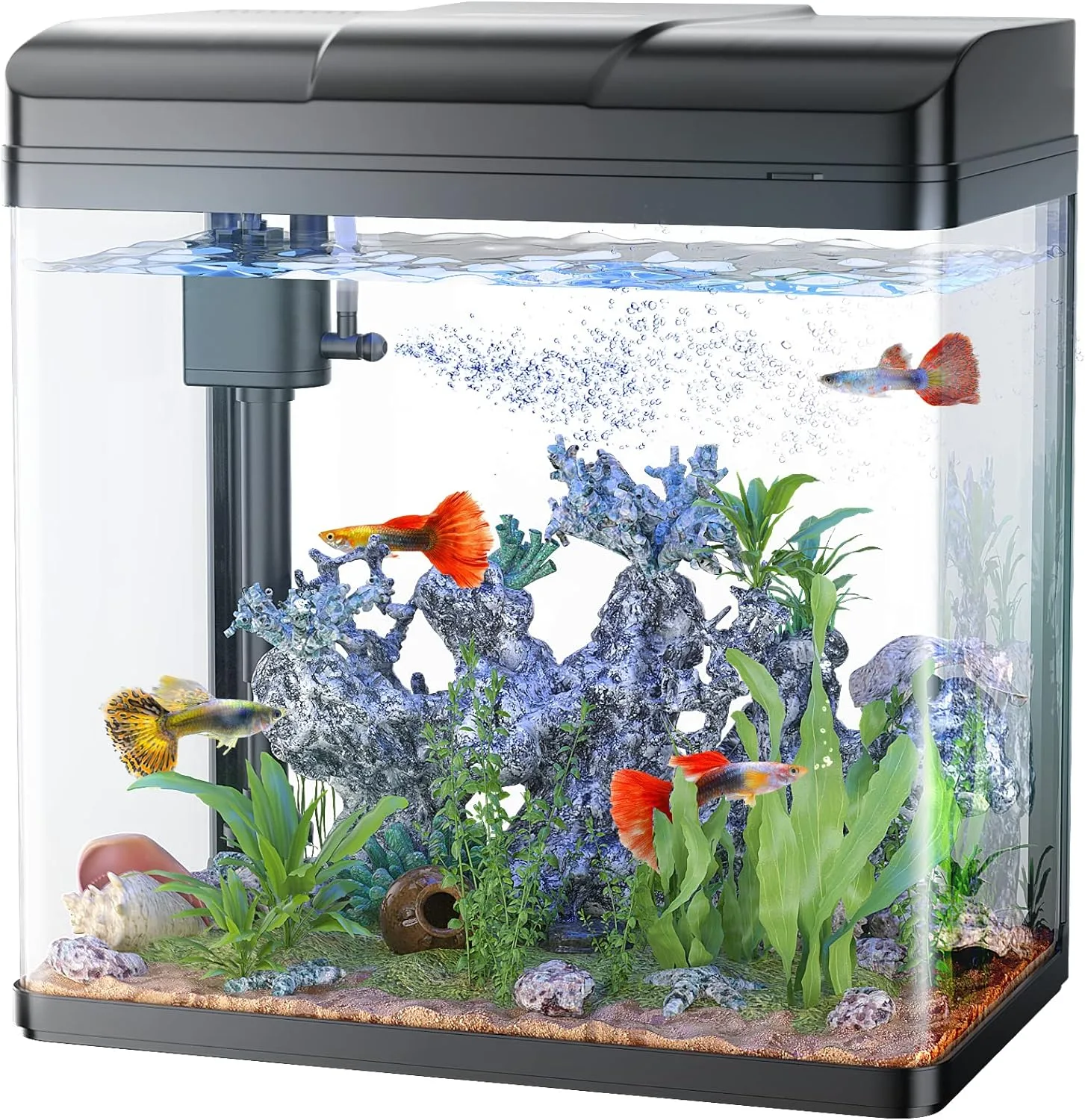PONDON Fish Tank Review