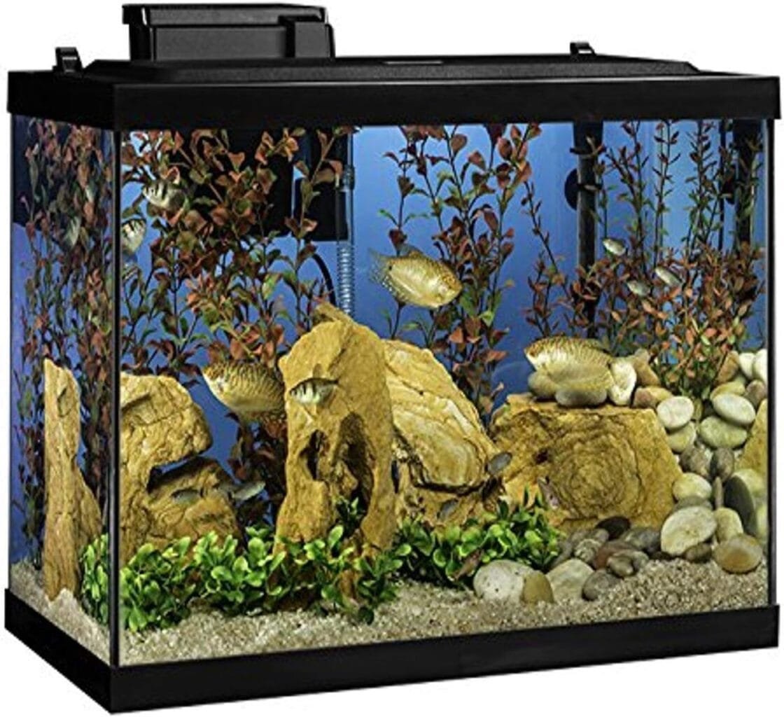 Tetra ColorFusion Aquarium 20 Gallon Fish Tank Kit, Includes LED Lighting and Decor