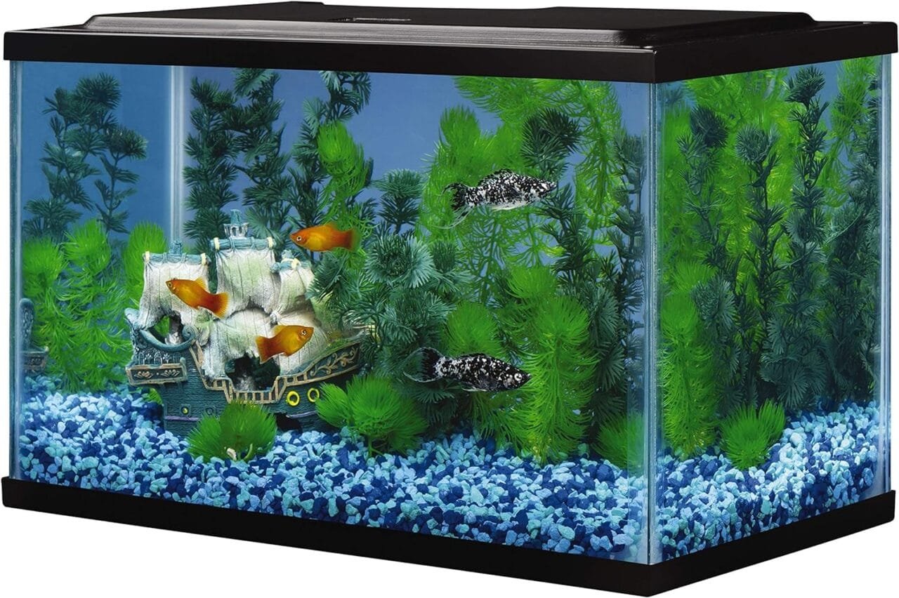 Tetra Glass Aquarium 5.5 Gallons, Rectangular Fish Tank